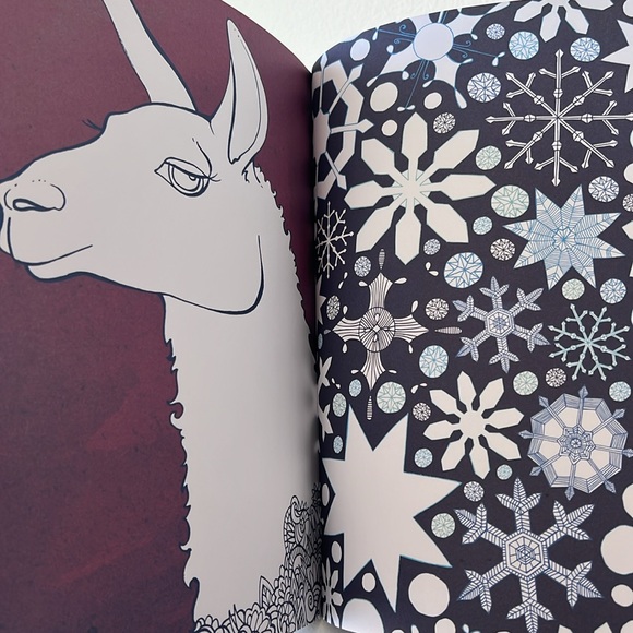 Calming Therapy: An Anti-Stress Coloring Book - Picture 14 of 16